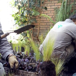 FJIMG_20190715_111805