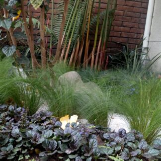 FJIMG_20191014_145720