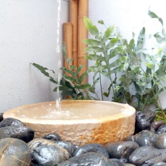 FJIMG_20191223_140429