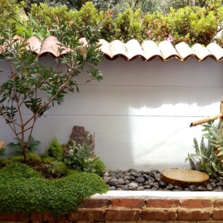 FJIMG_20200605_124536