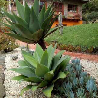 IMG_20201008_145346841