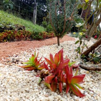 IMG_20201008_145609656