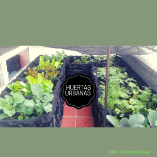 cajones de siembrA 2