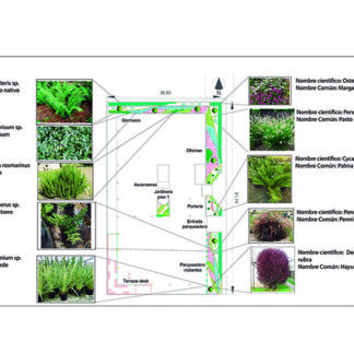 planodesiembra_naturalista_exterior