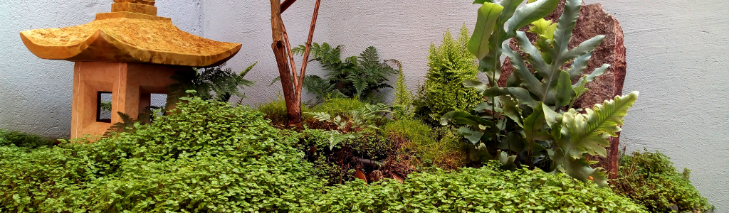 FJIMG_20200702_121236