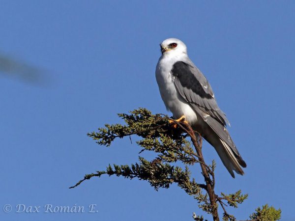 WhatsApp Image 2020-11-05 at 12.47.56 WhatsApp Image 2020-11-05 at 12.47.56